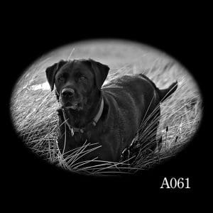 Animal Laser Etching Designs