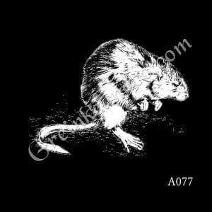 Animal Laser Etching Designs