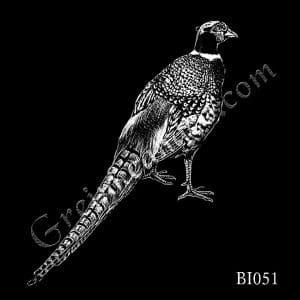 Bird Laser Etching Designs