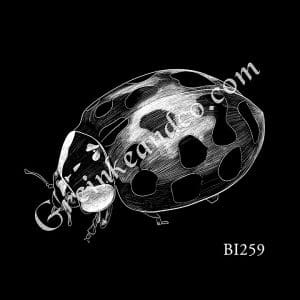 Bird Laser Etching Designs