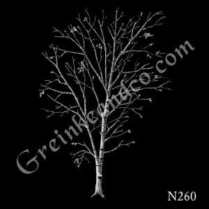 Nature Laser Etching Designs