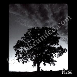 Nature Laser Etching Designs